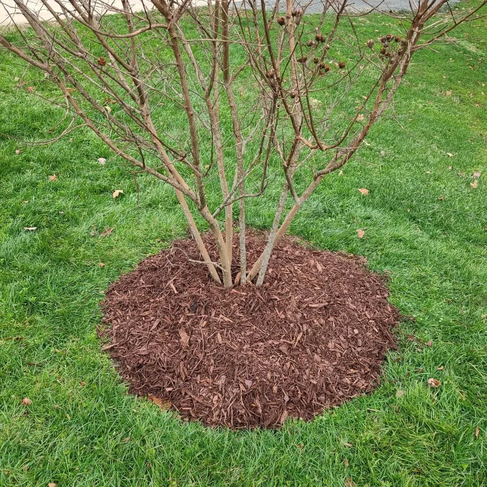 Custom landscape design for year-round maintenance across Lexington, NC - Lil C's Landslide