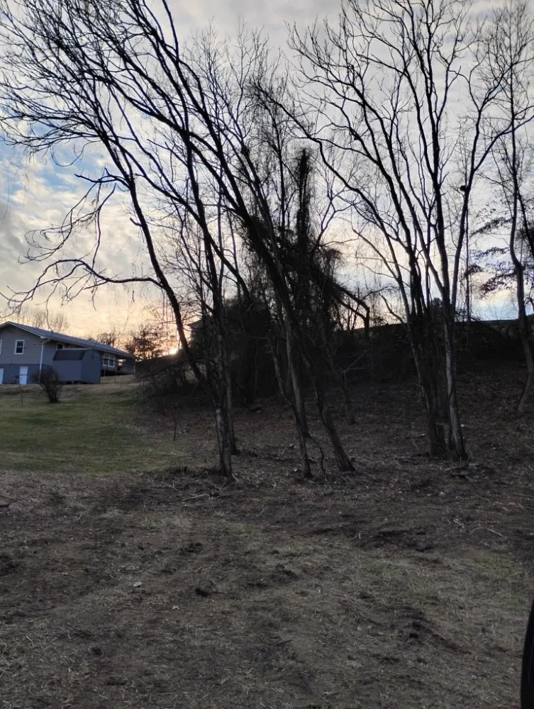 Local landscape installation for residential properties in Greeneville, TN by Lil Dog's Land Clearing