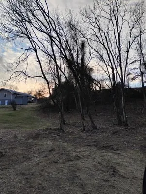 Lil Dog's Land Clearing Logo