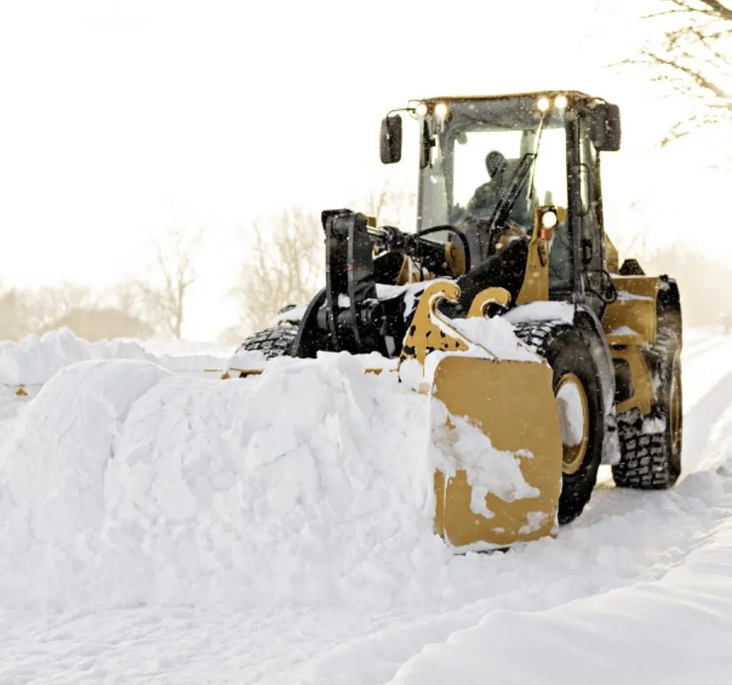 Professional residential landscaping in Philadelphia, PA - Lil Guys Custom Cutz