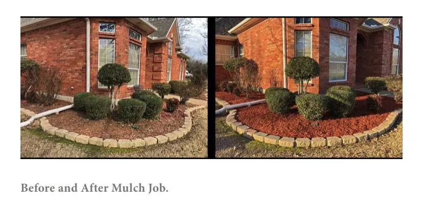 Local yard cleanup service in Philadelphia, PA by Lil Guys Custom Cutz