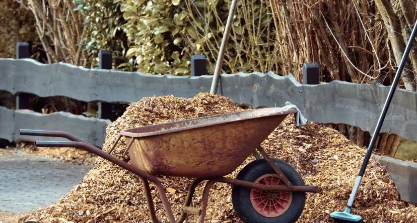 Reliable outdoor landscaping in Philadelphia, PA - Lil Guys Custom Cutz