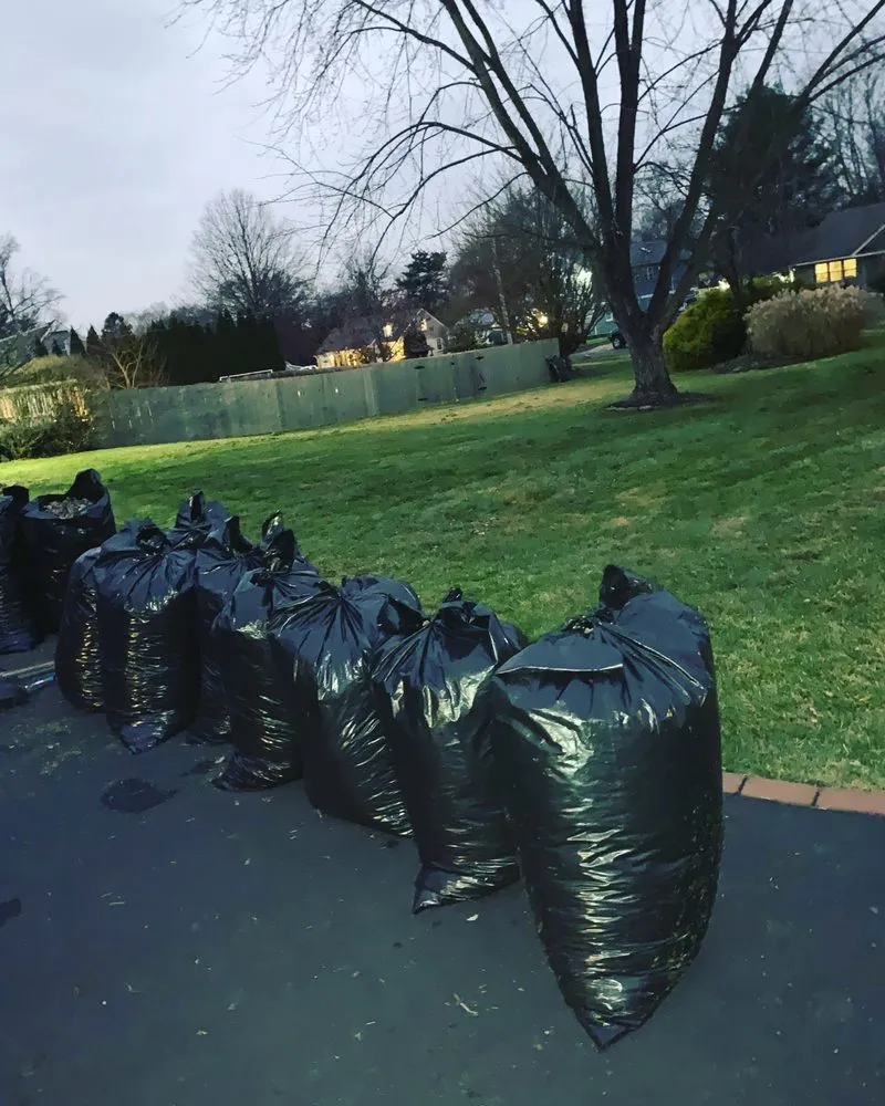 Professional outdoor landscaping near you in Philadelphia, PA by Lil Guys Custom Cutz