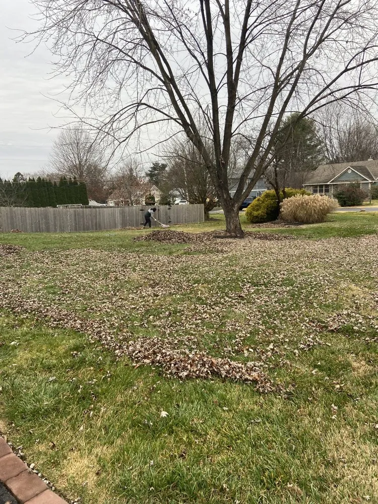 Expert yard maintenance for outdoor upgrades across Philadelphia, PA - Lil Guys Custom Cutz