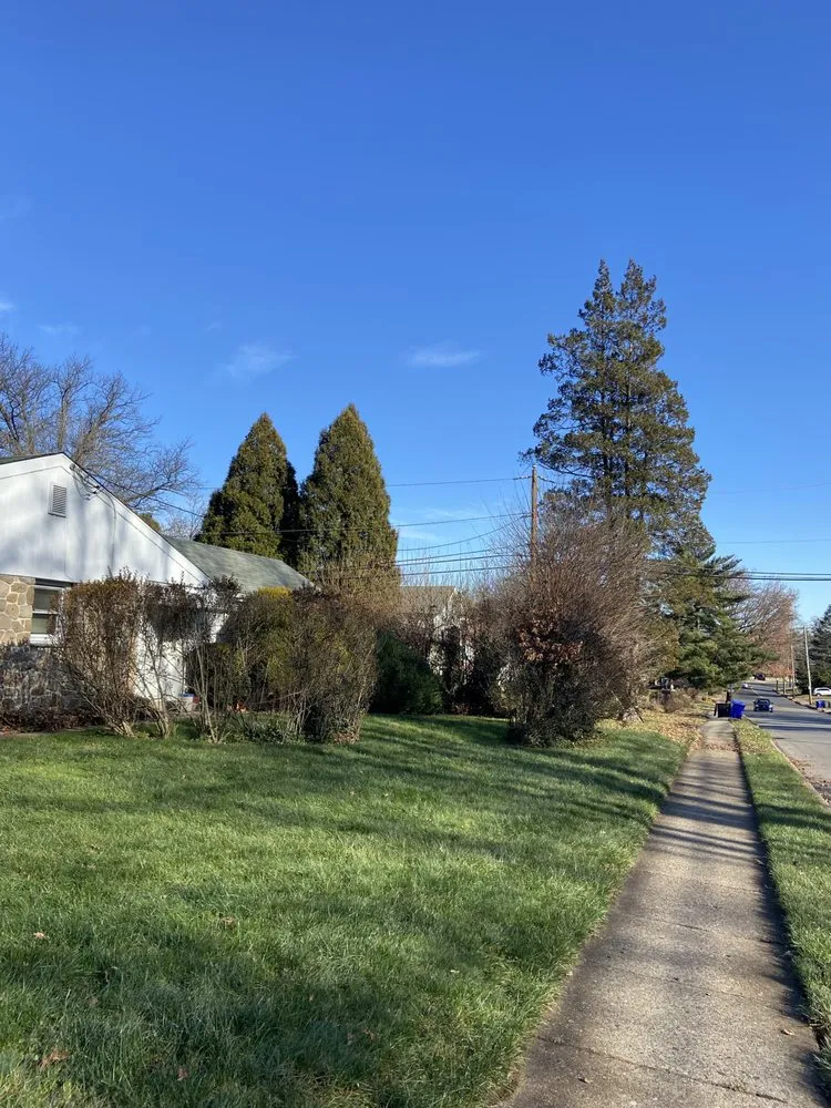 Professional lawn care service in Philadelphia, PA - Lil Guys Custom Cutz