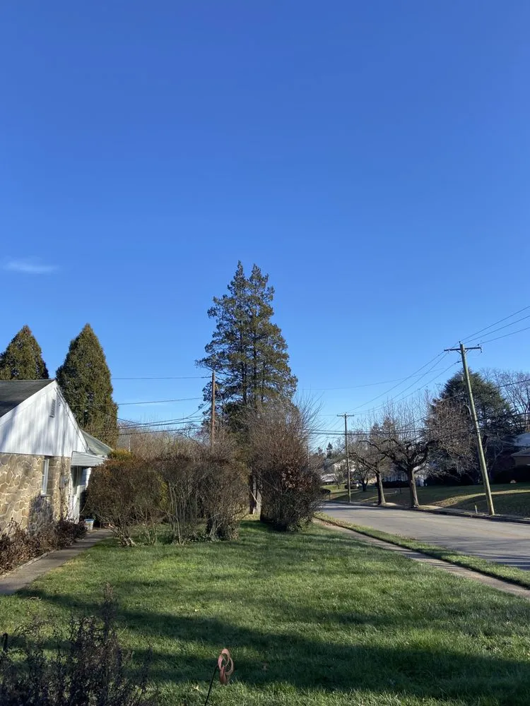 Reliable residential landscaping near you across Philadelphia, PA - Lil Guys Custom Cutz