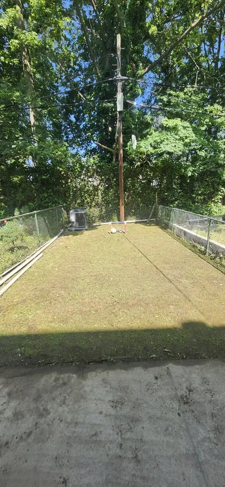 Custom yard cleanup service for residential properties in Bronx, NY by Lil Love Cleaning