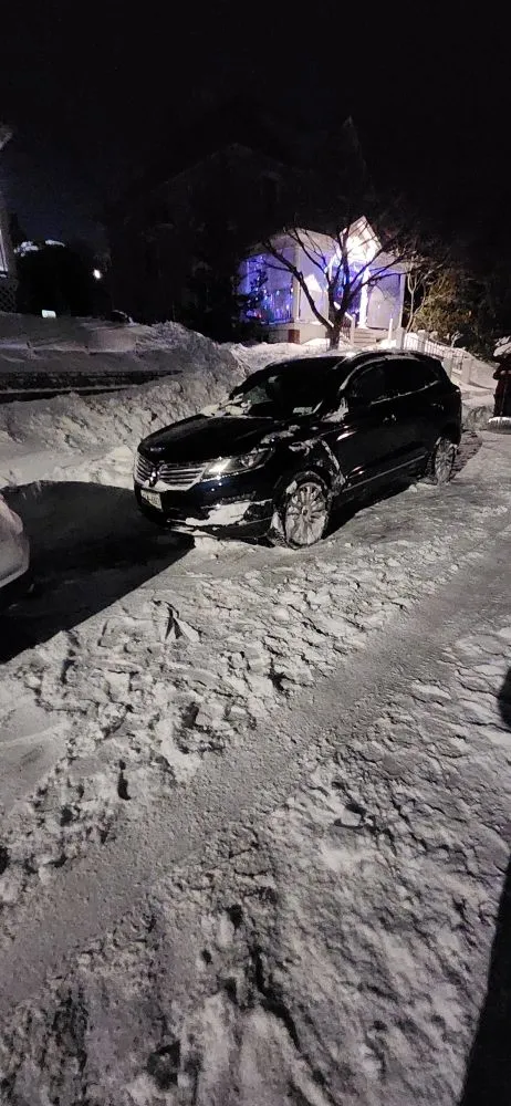 Top-rated landscape installation near you across Bronx, NY - Lil Love Cleaning