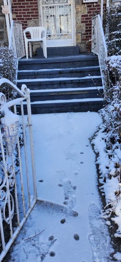 Professional outdoor landscaping experts serving Bronx, NY - Lil Love Cleaning