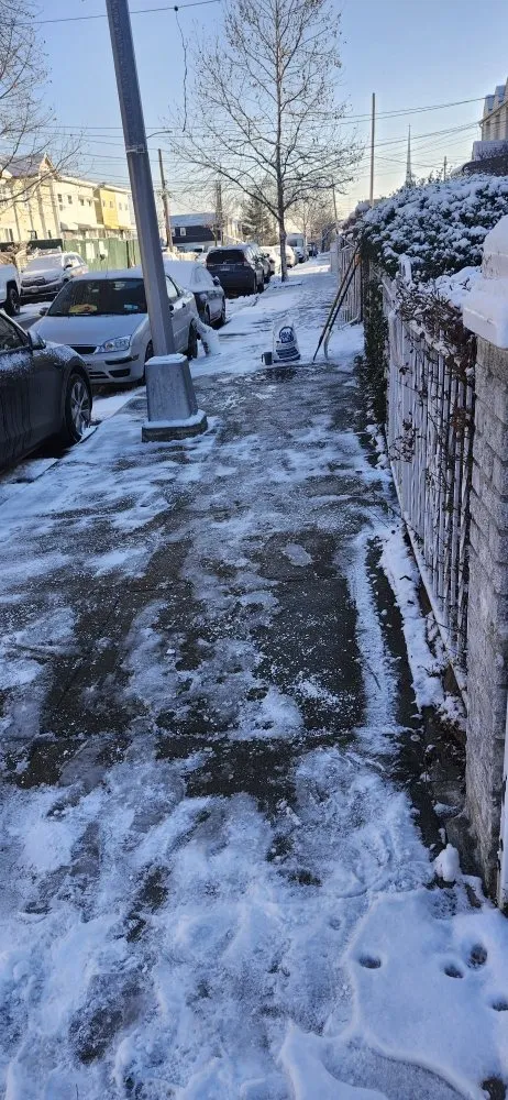 Top-rated landscape installation in Bronx, NY by Lil Love Cleaning