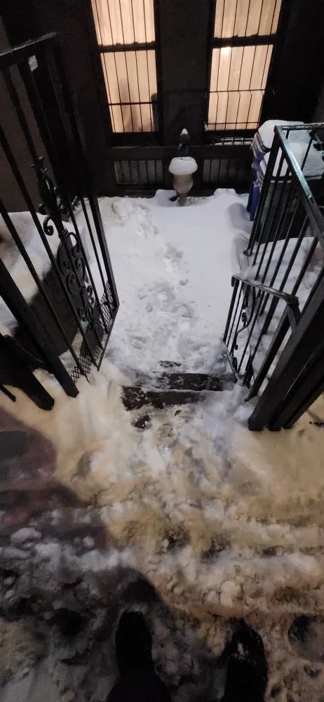 Reliable yard maintenance in Bronx, NY - Lil Love Cleaning