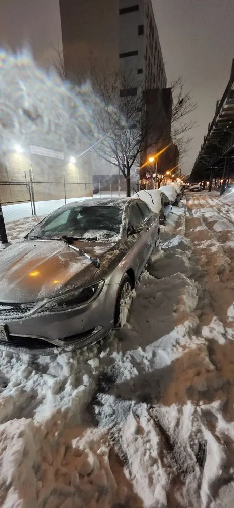 Trusted yard cleanup service for homes across Bronx, NY - Lil Love Cleaning