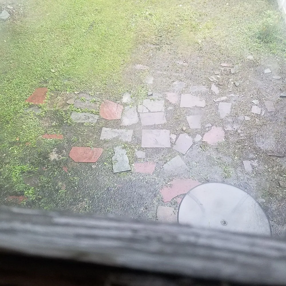 Professional yard maintenance in Bronx, NY - Lil Love Cleaning