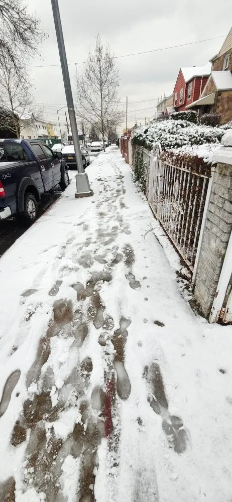 Professional residential landscaping in Bronx, NY by Lil Love Cleaning