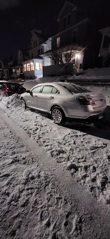 Trusted lawn mowing service in Bronx, NY by Lil Love Cleaning