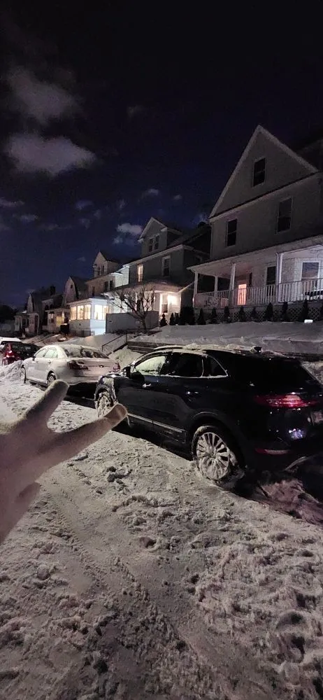 Professional landscape installation for outdoor upgrades across Bronx, NY - Lil Love Cleaning