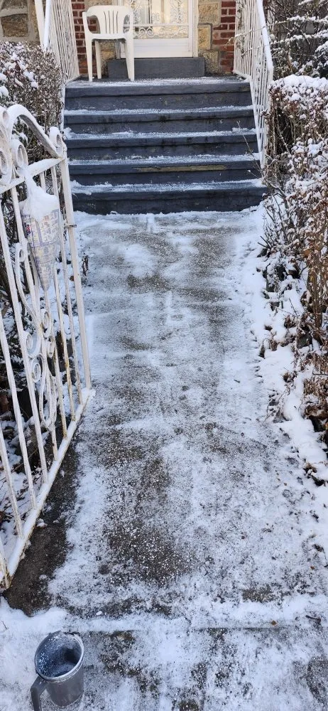 Local landscape installation in Bronx, NY by Lil Love Cleaning