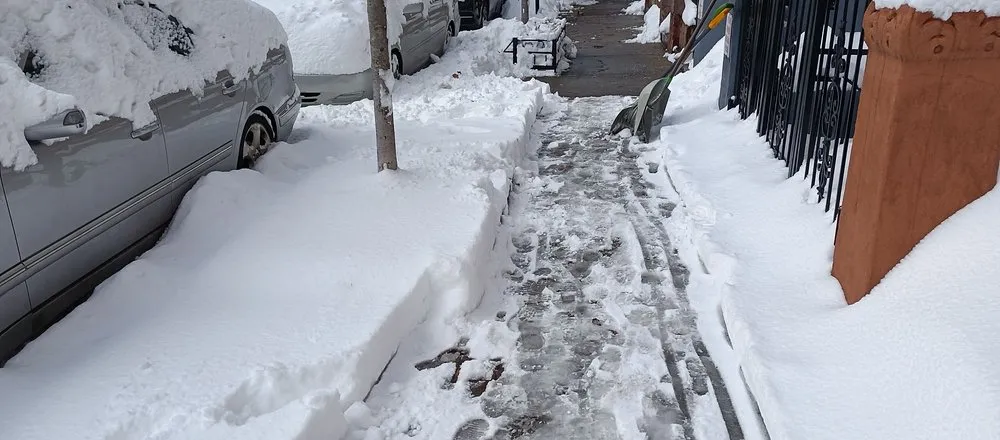 Reliable residential landscaping in Bronx, NY - Lil Love Cleaning