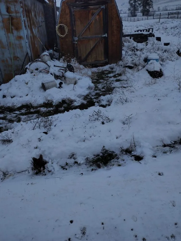 Trusted landscaping services near you across Arlee, MT - Lil L's Lawn Care and Snow Removal