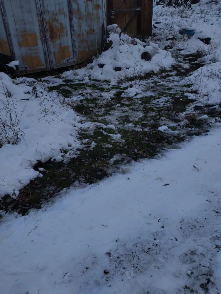 Reliable landscape installation in Arlee, MT by Lil L's Lawn Care and Snow Removal