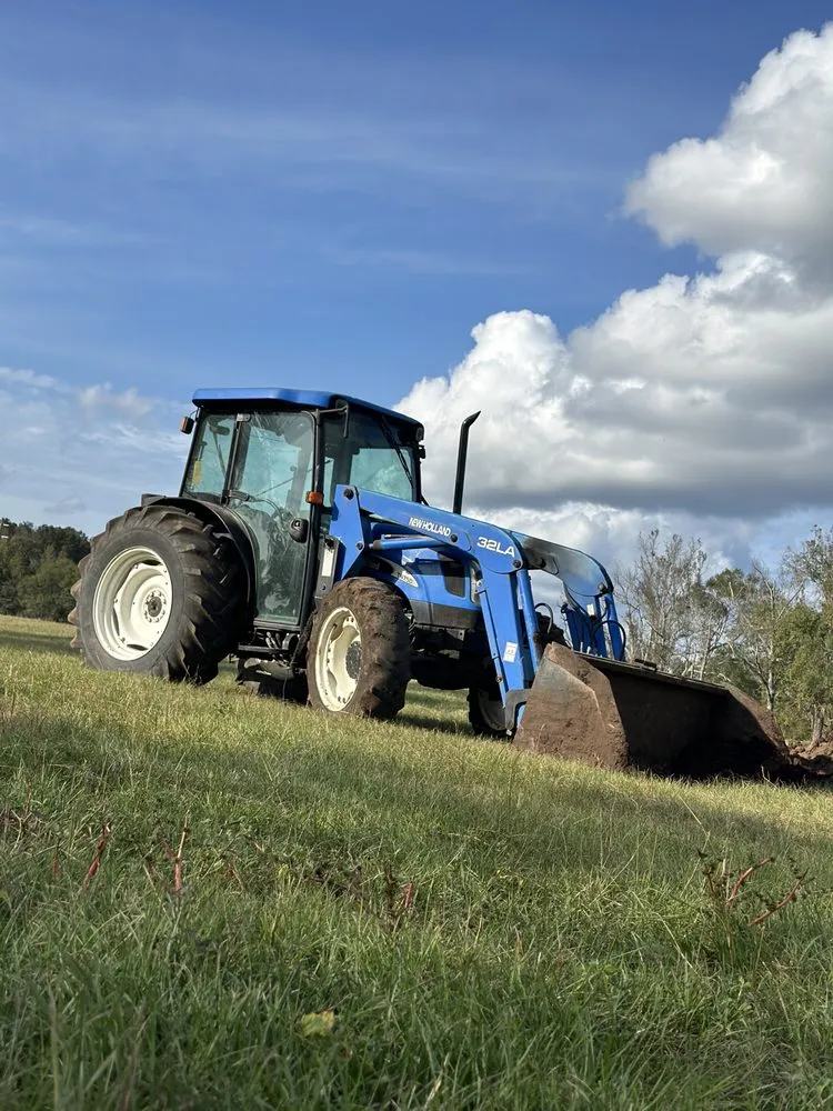 Top-rated landscaping services in Sumrall, MS - Lil Lucy Farms