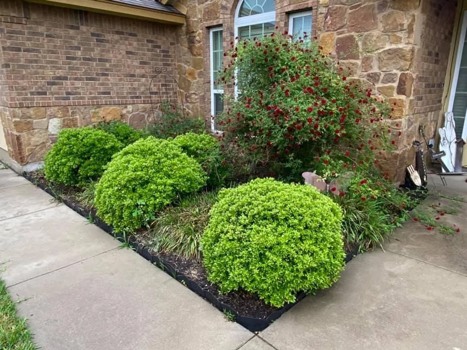Reliable garden landscaping for residential properties across Temple, TX - LiL Mikes Lawn Service