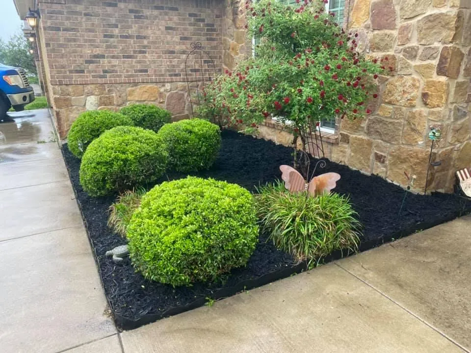 Local landscape design experts serving Temple, TX - LiL Mikes Lawn Service