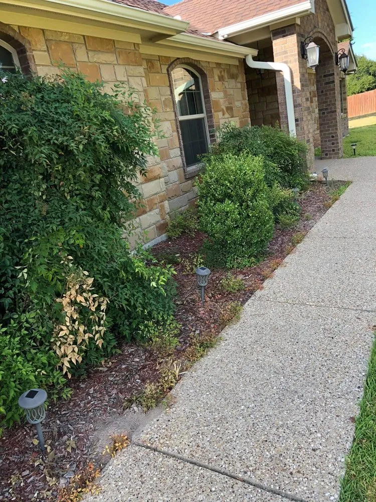 Local landscape design near you across Temple, TX - LiL Mikes Lawn Service