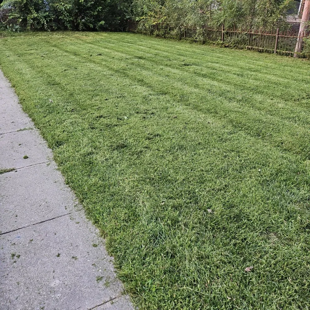 Expert outdoor landscaping near you in Omaha, NE by Lil One's Lawncare