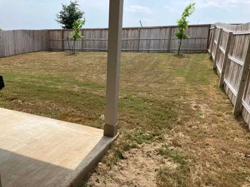 Reliable lawn care service near you in San Antonio, TX by Lil Orange Tractor Services Lawn Care & Landscape Maintenance