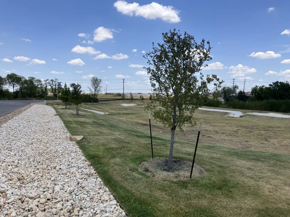 Professional outdoor landscaping experts serving San Antonio, TX - Lil Orange Tractor Services Lawn Care & Landscape Maintenance