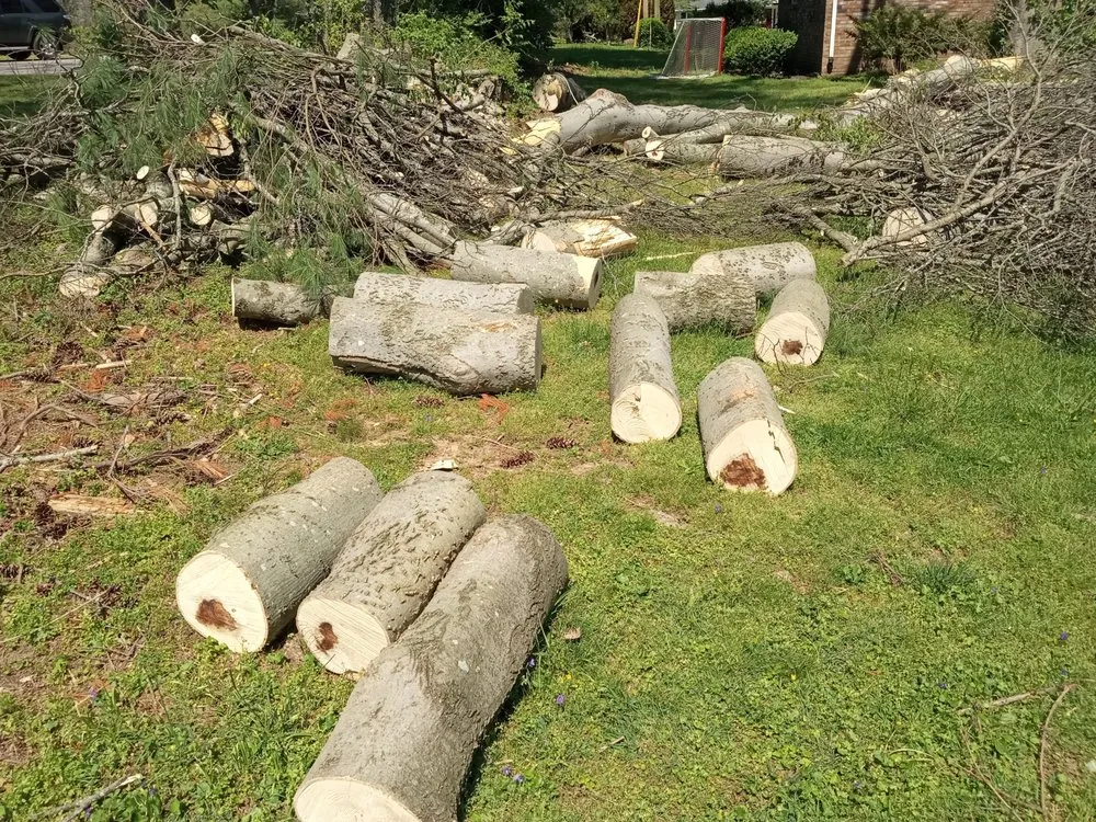 Trusted lawn care service near you across Gulfport, MS - Lil' Red Tractor Services