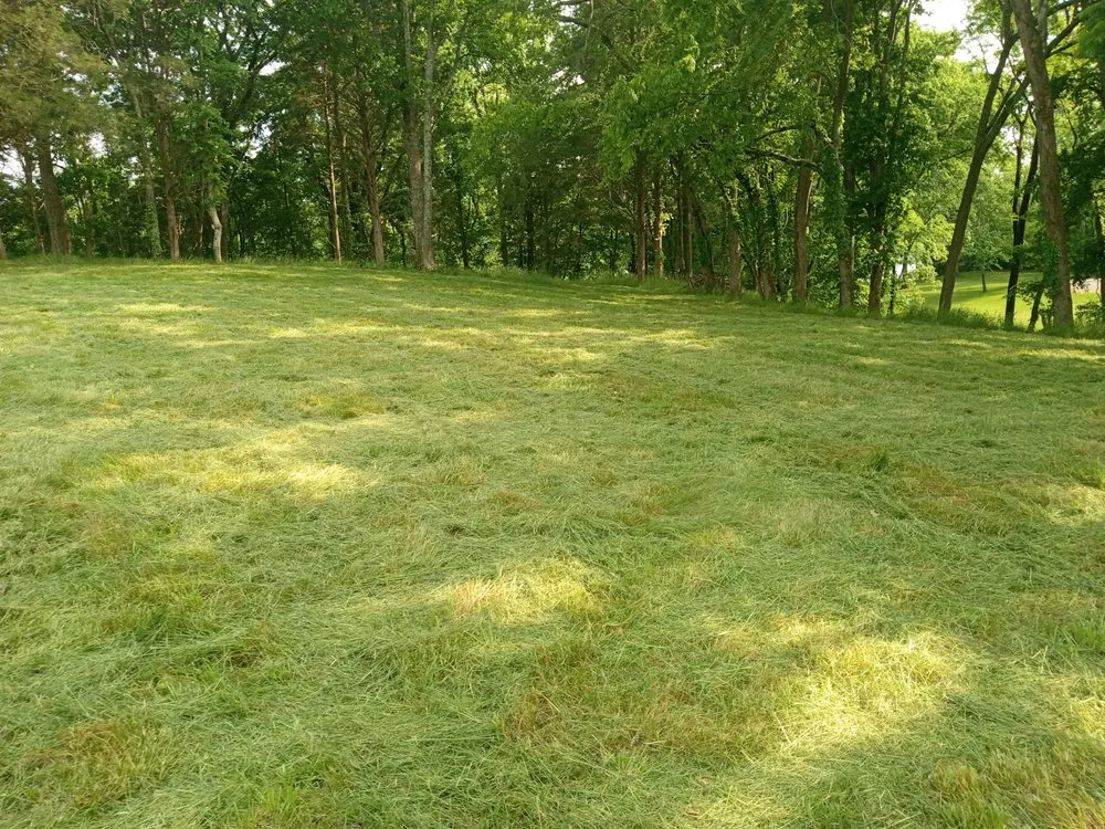 Reliable residential landscaping in Gulfport, MS - Lil' Red Tractor Services