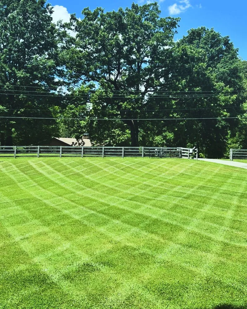Affordable yard maintenance for year-round maintenance in Locust Grove, GA by Lil Red Wagon Lawn Care