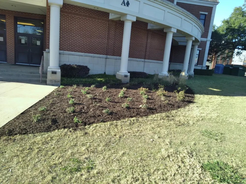 Professional landscape design with custom design across New Boston, TX - Lil Will Lawn Care