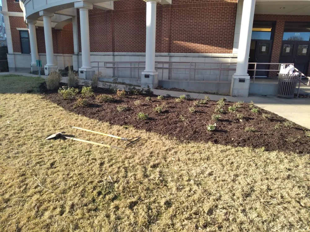 Expert yard cleanup service for outdoor upgrades in New Boston, TX by Lil Will Lawn Care