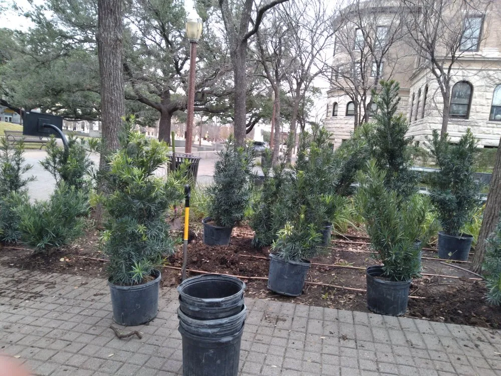 Custom garden landscaping for outdoor upgrades in New Boston, TX by Lil Will Lawn Care