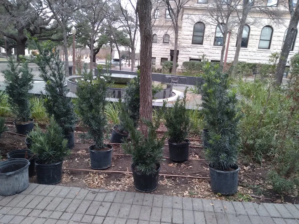 Trusted landscaping services in New Boston, TX by Lil Will Lawn Care