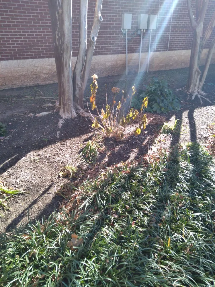 Affordable landscape installation in New Boston, TX - Lil Will Lawn Care