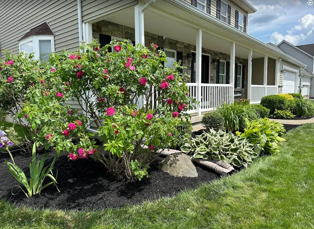 Reliable lawn care service in Horseheads, NY - Lilac Landscaping