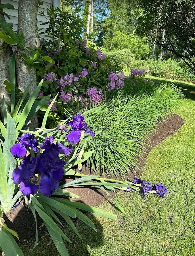 Professional lawn care service in Horseheads, NY by Lilac Landscaping