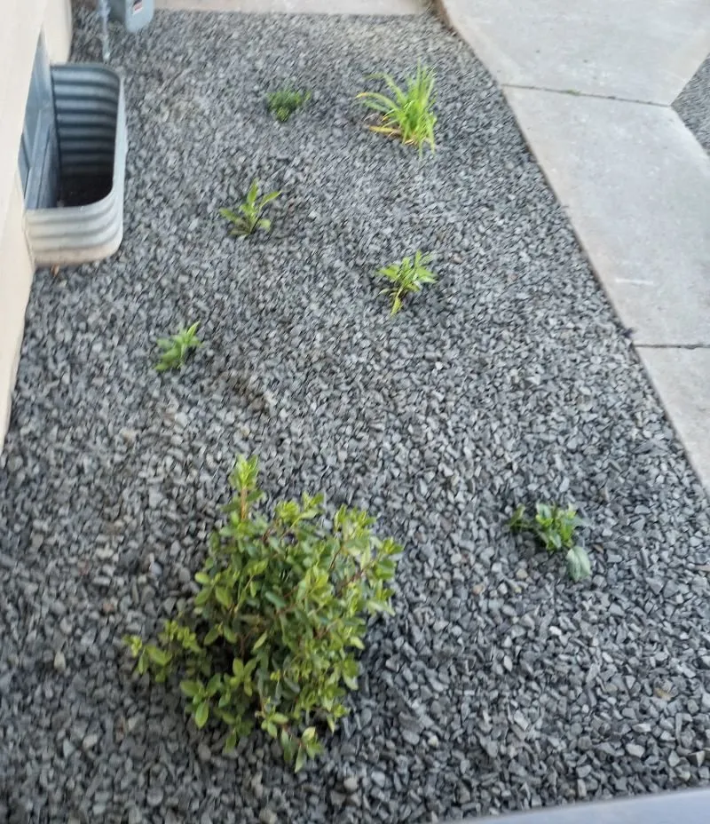 Trusted landscape installation for year-round maintenance across Cheney, WA - Lilac Mountain Landscapes