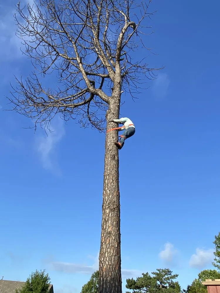 Trusted outdoor landscaping with custom design across Oklahoma City, OK - Lilah Landscaping