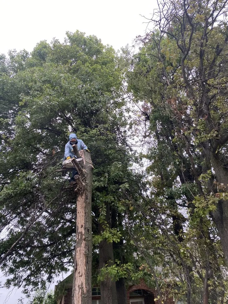 Custom lawn care service in Oklahoma City, OK by Lilah Landscaping