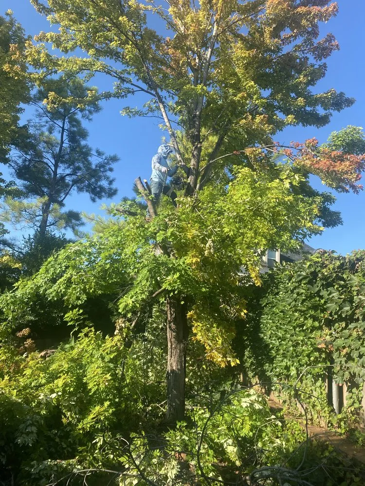 Local landscaping services in Oklahoma City, OK - Lilah Landscaping