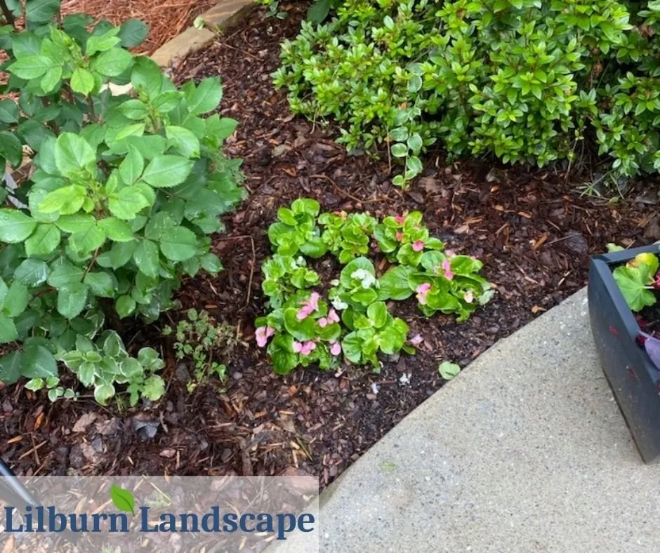 Top-rated residential landscaping in Lilburn, GA - Lilburn Landscape