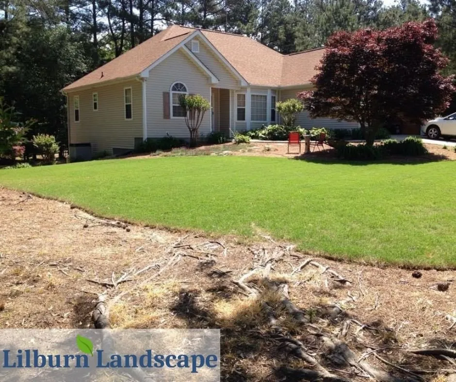 Local yard cleanup service near you in Lilburn, GA by Lilburn Landscape