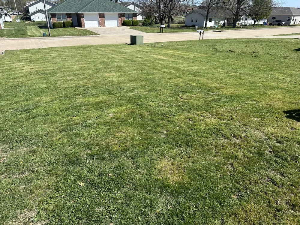 Expert lawn mowing service experts serving Bolivar, MO - Lile & Son’s Lawn Care