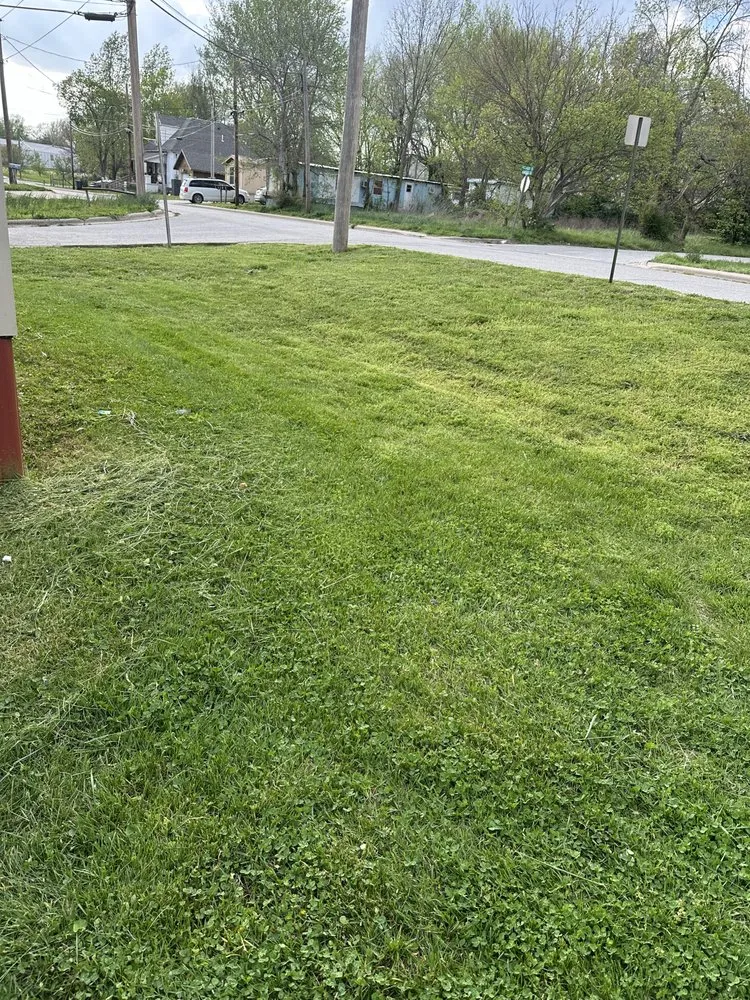 Reliable yard maintenance in Bolivar, MO by Lile & Son’s Lawn Care
