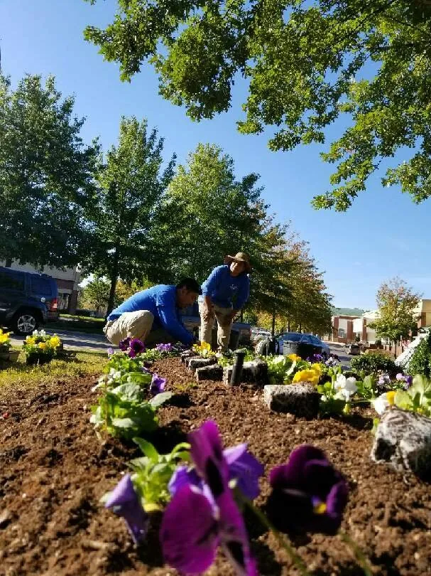 Custom landscape design in Durham, NC by Lilies Landscaping